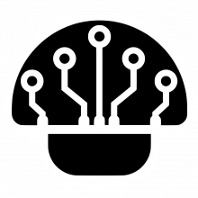 White and Black Cap Trans